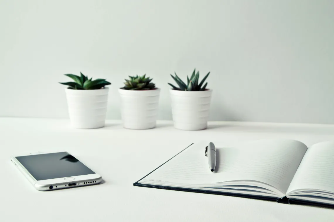 Phone and notepad with succulents on white surface