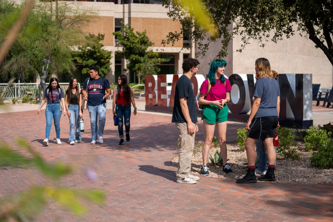 Group of students talking in front of a big Bear Down sign on the U of A Campus