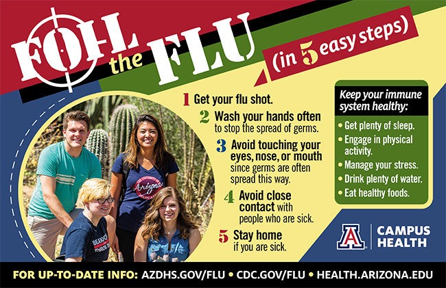 Flu facts flyer