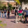 Group of students talking in front of a big Bear Down sign on the U of A Campus